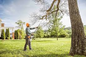 Best Lawn Watering Services  in Hayward, CA